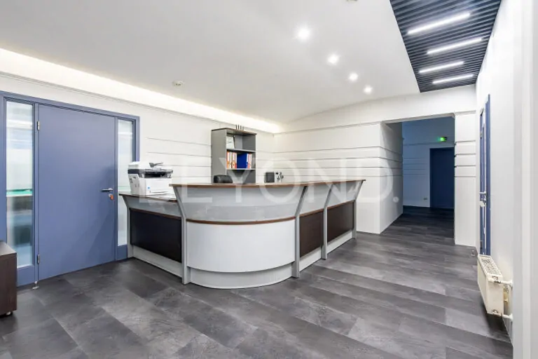 наб. малой невки, 33 - резиденция представительского класса на каменном фото 4