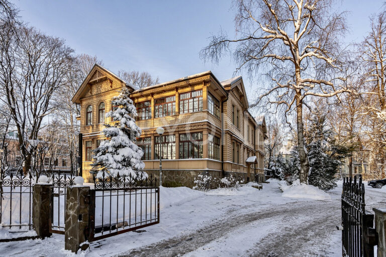 наб. малой невки, 33 - резиденция представительского класса на каменном фото 1