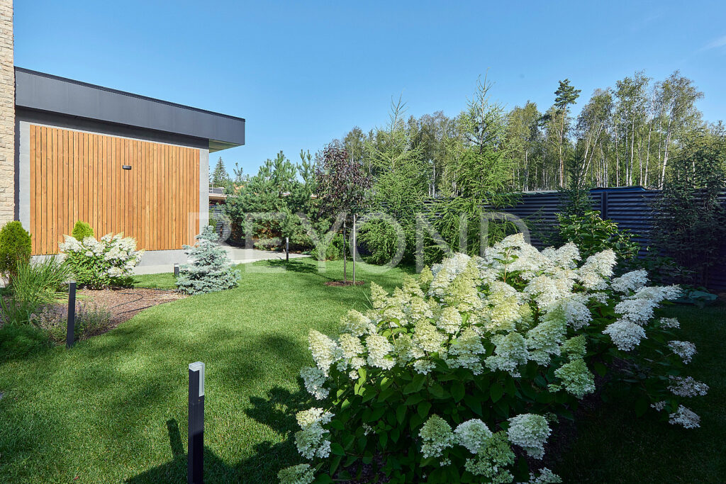 Озеленение на участке