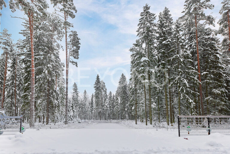 «‎репинские озёра» - посёлок в окружении леса фото 4