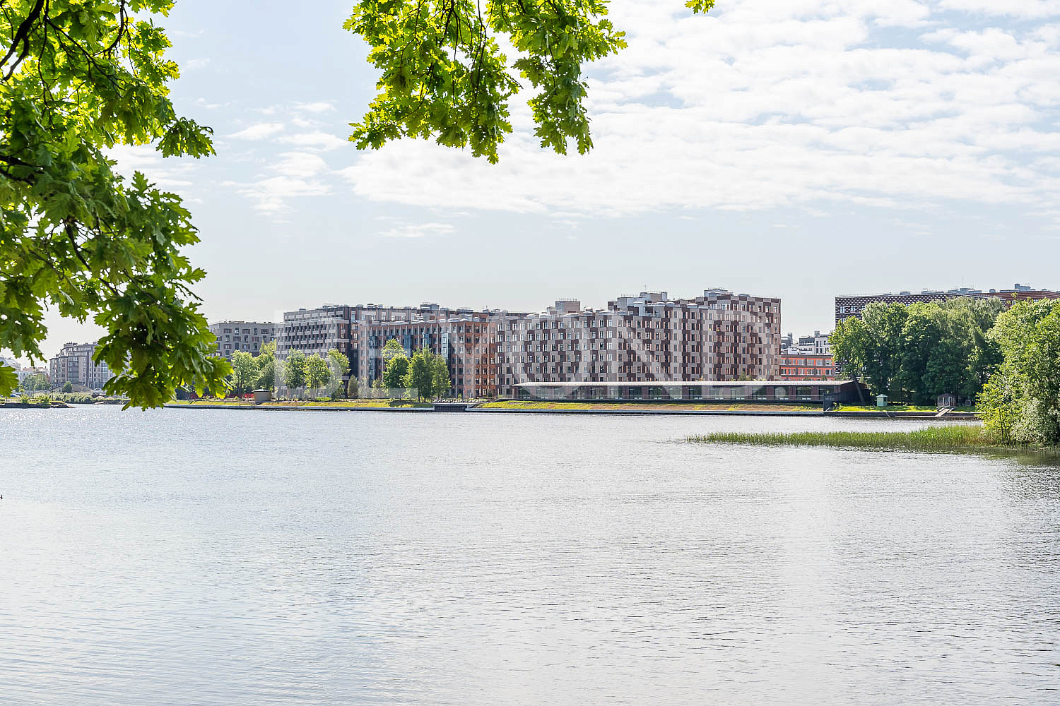 Neva Haus – чарующий вид на зелень сада Савиной pic-2