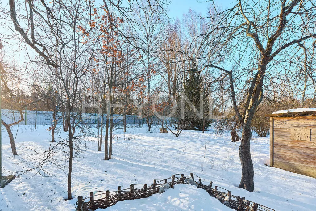 Яблоневый сад