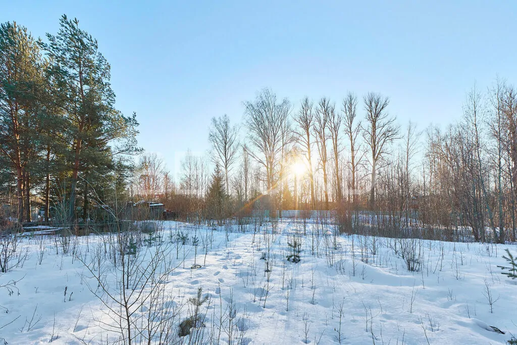 Участок, утопающий в солнечном свете