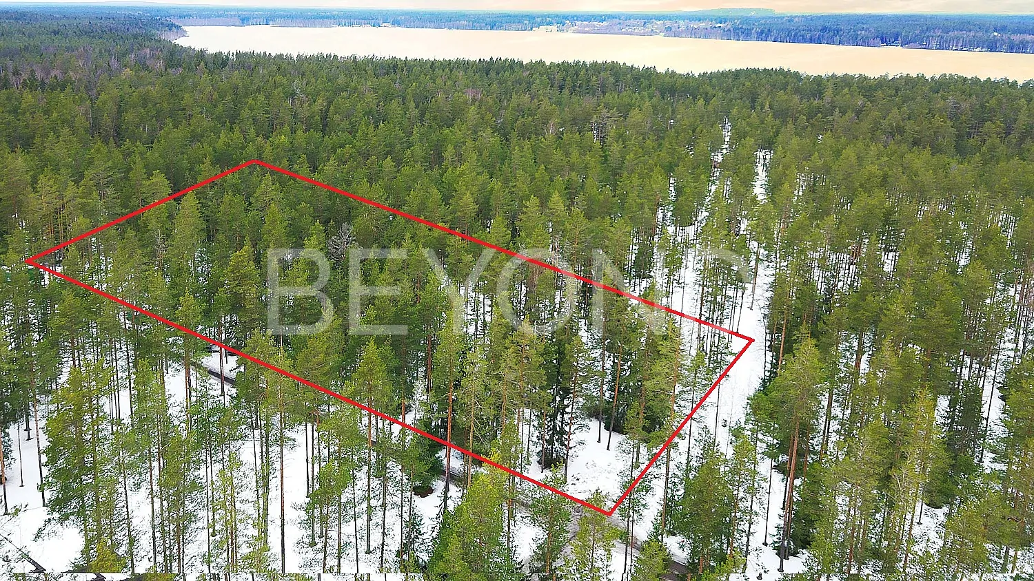 «Вереск» - участок в окружении соснового леса pic-2
