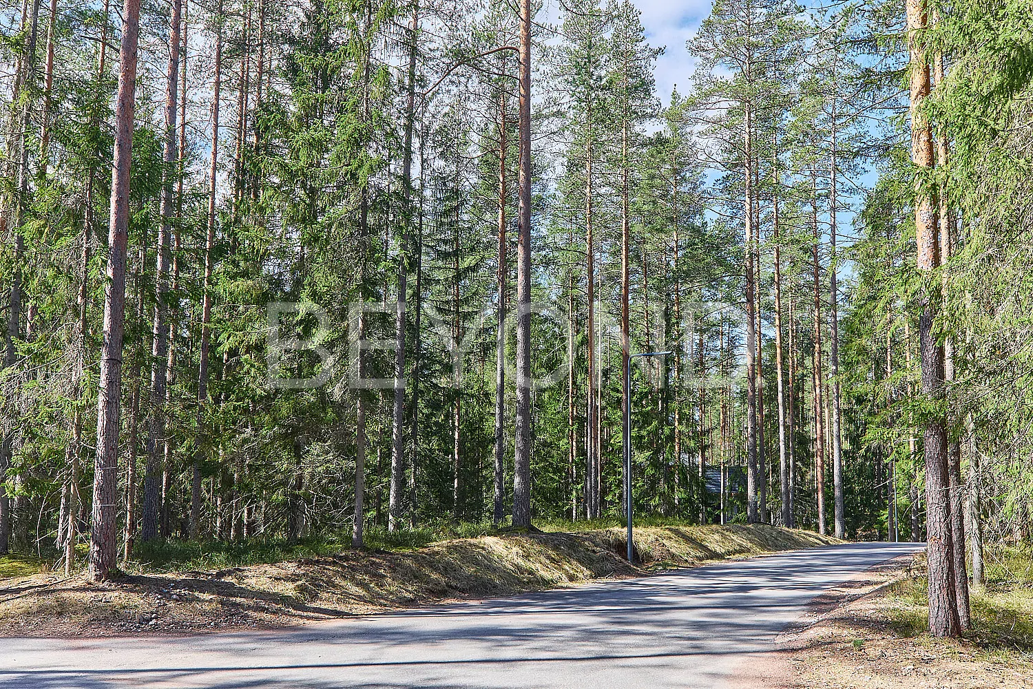 «Вереск» - участок в окружении соснового леса pic-3