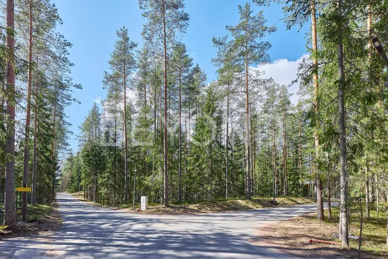 «вереск» - участок в окружении соснового леса фото 5