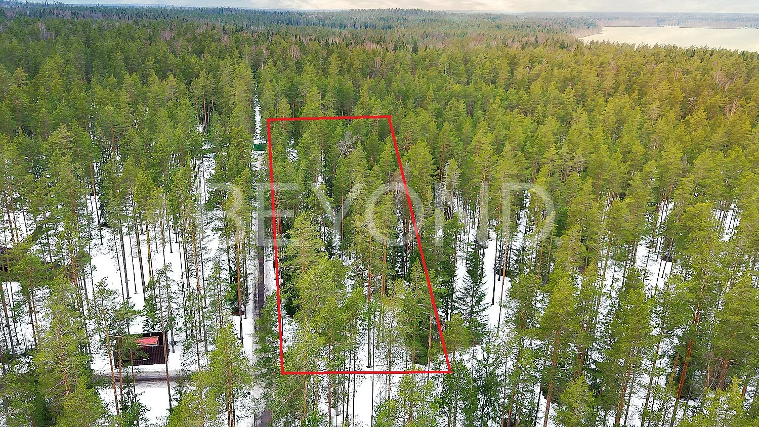 «Вереск» - участок в окружении соснового леса pic-1