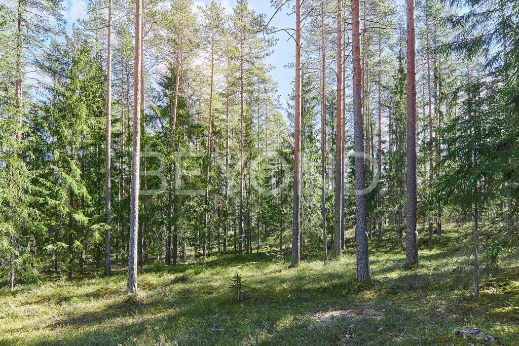 рельеф участка