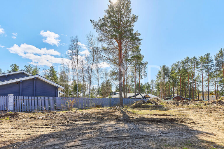 «памир» - участок в ближайшем пригороде санкт-петербурга фото 2
