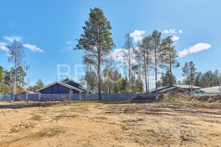 «памир» - участок в ближайшем пригороде санкт-петербурга фото 3