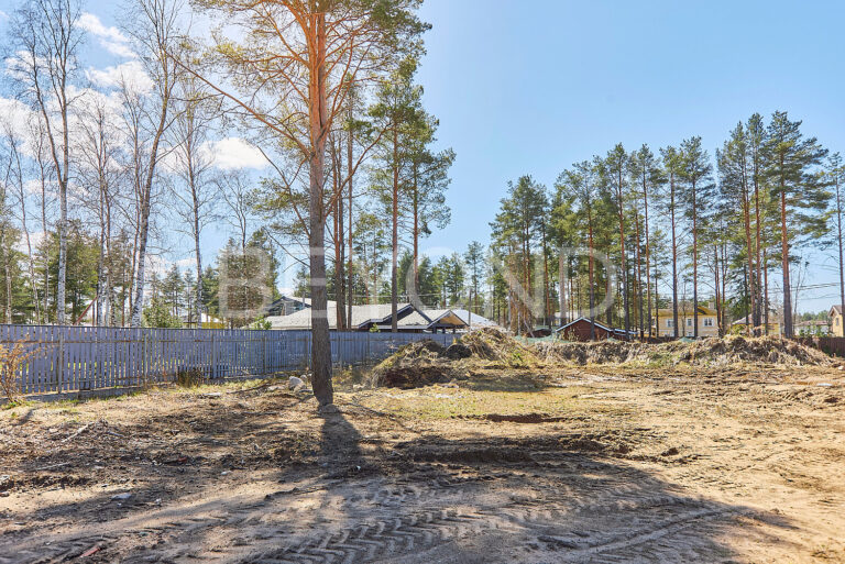 «памир» - участок в ближайшем пригороде санкт-петербурга фото 4
