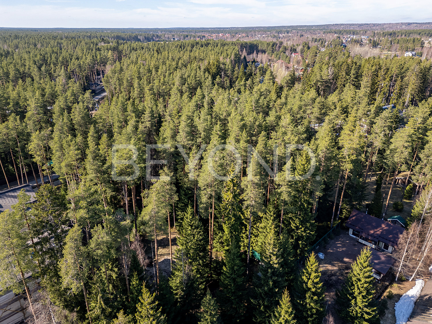 п. ленинское - лесной участок в закрытом поселке фото 4