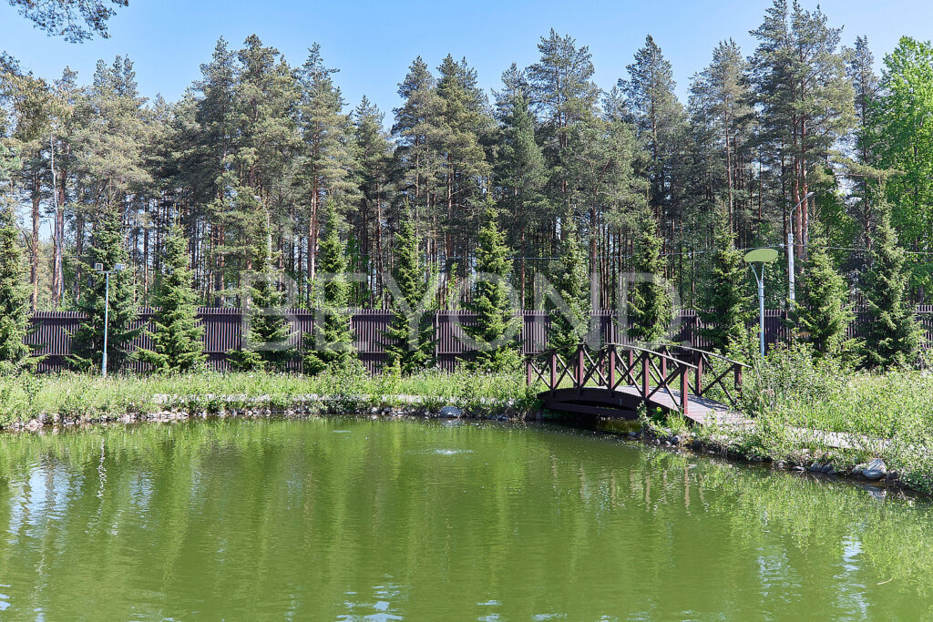 Пруд