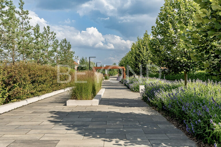 «репинские усадьбы» - тихая роскошь в современном прочтении фото 2