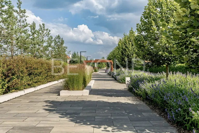 «репинские усадьбы» - тихая роскошь в современном прочтении фото 2