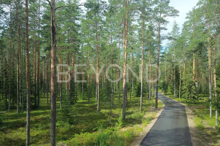 кп «вереск‎» - участок мечты для живописных пейзажей фото 4