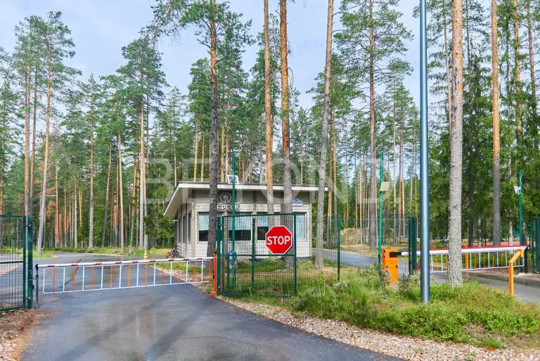 кп «вереск‎» - участок мечты для живописных пейзажей фото 5