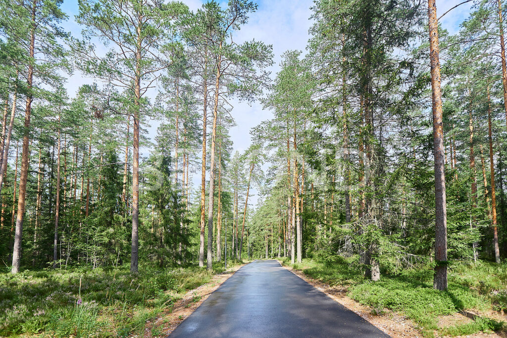 Дорожное покрытие в поселке