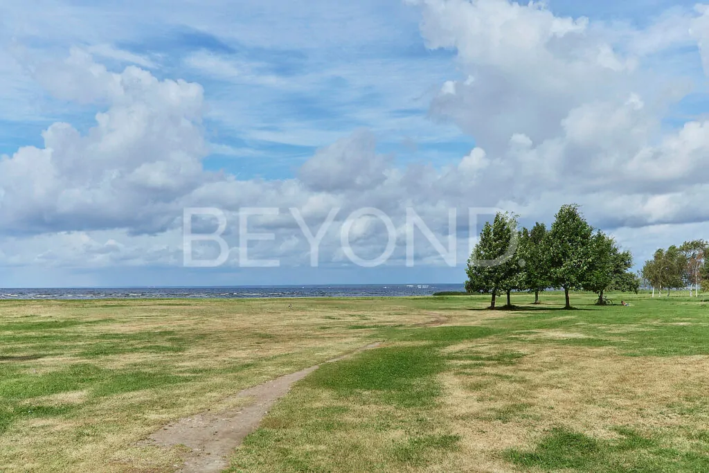 Финский залив в 2-х минутах пешком