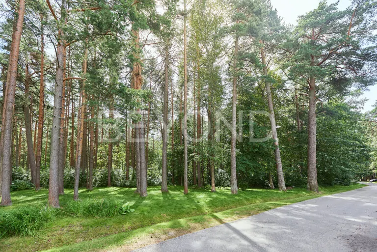 просторный дом с бассейном напротив нижнего парка фото 5