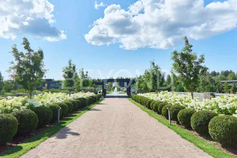 "репинское" - участок в престижной локации фото 3