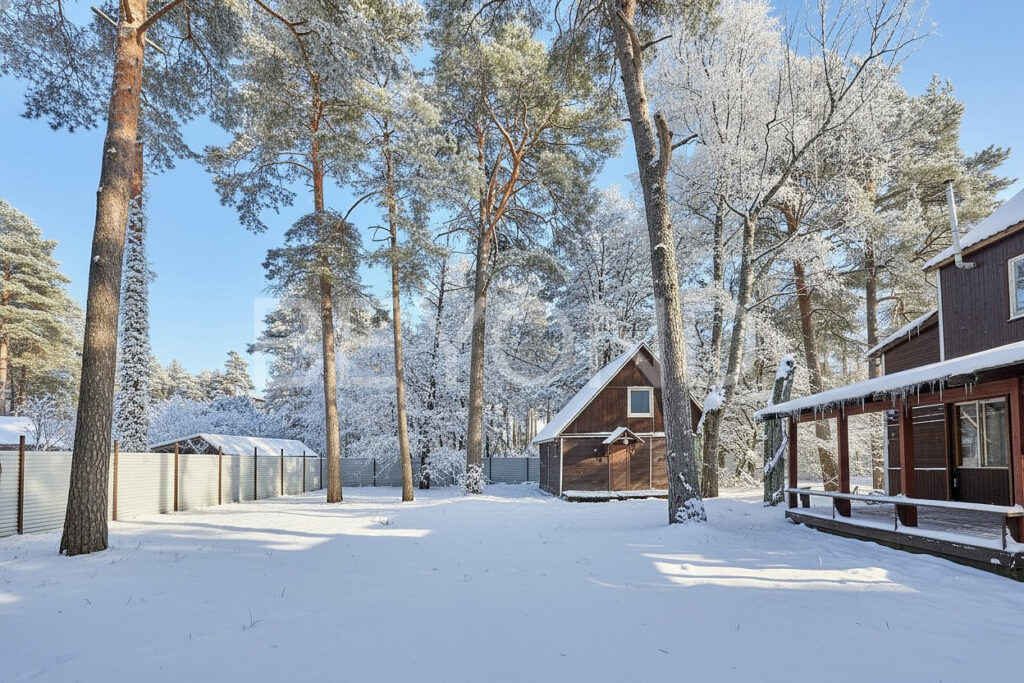 баня и дом на участке