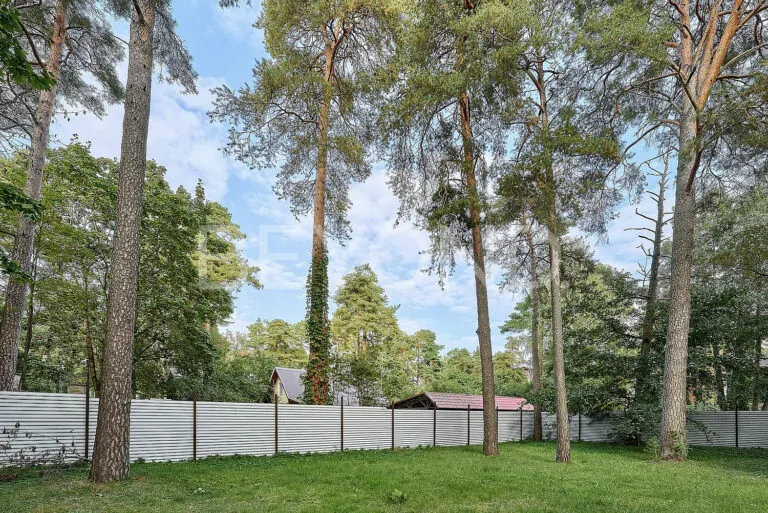 г. сестрорецк - участок в окружении парков и воды фото 5