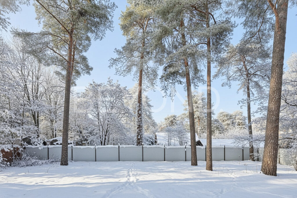 территория участка