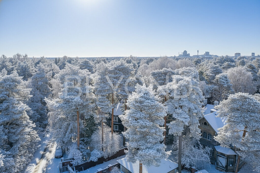 вид сверху на Сестрорецк
