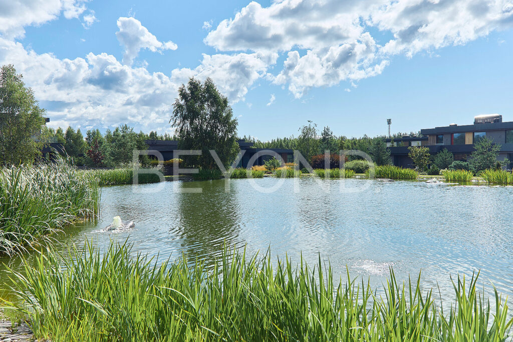 Озеро на территории поселка