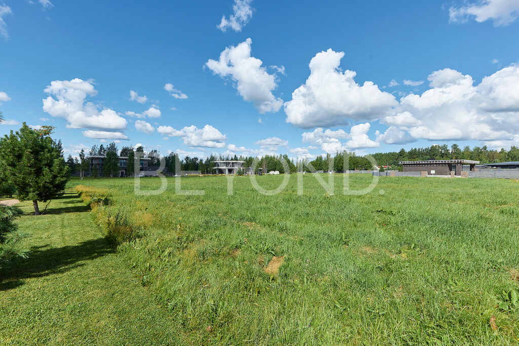 Газон на участке