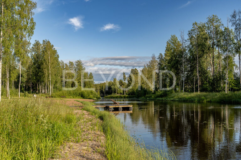 ольшаники - участок на первой линии ручья чернявский фото 1