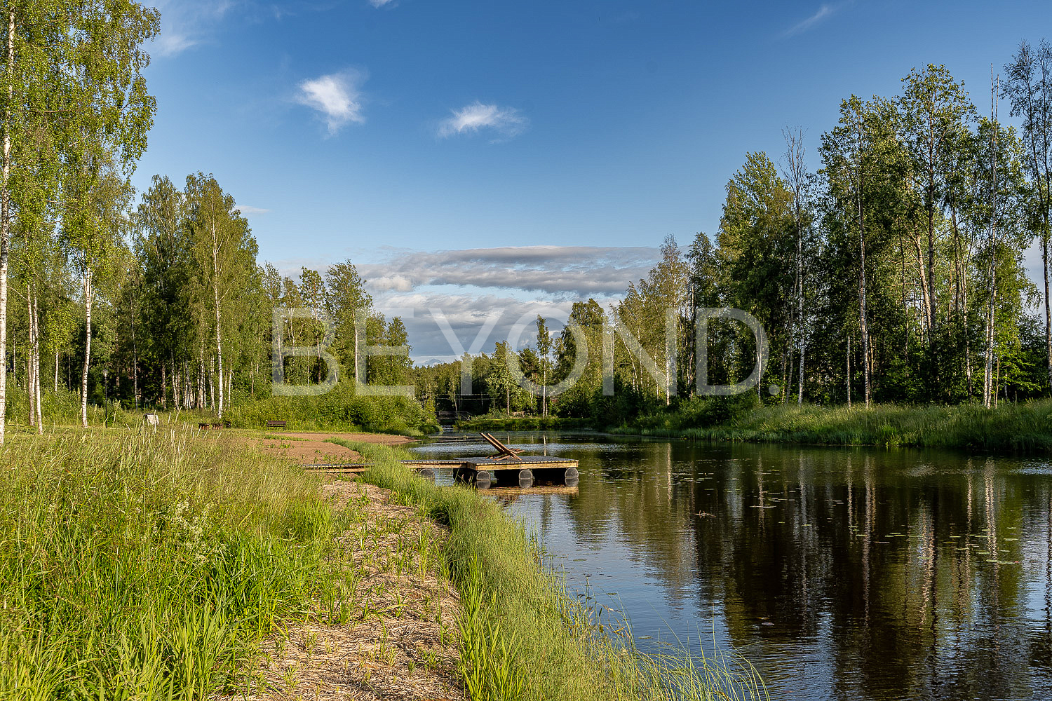 ольшаники - участок на первой линии ручья чернявский фото 1