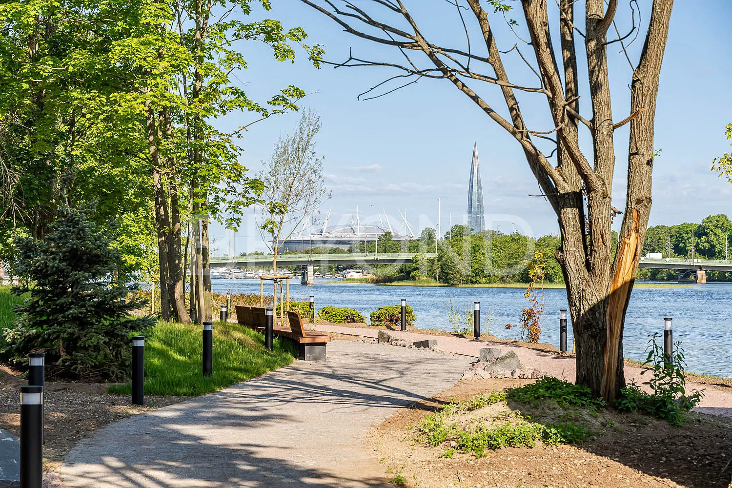 neva haus — самая функциональная планировка в проекте фото 1