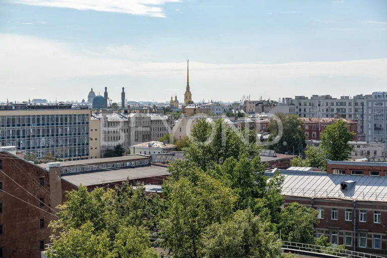 чапаева, 17 - лофт у невы фото 5