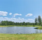 , Выбор домов