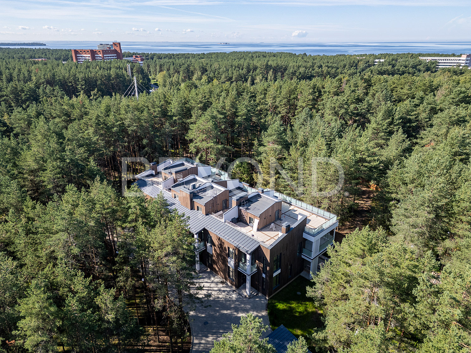 г. сестрорецк - резиденция в окружении 3 гектаров соснового леса фото 3