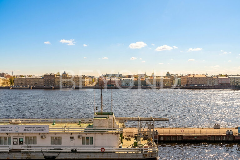 английская наб., 52 - квартира в сердце парадного петербурга фото 4