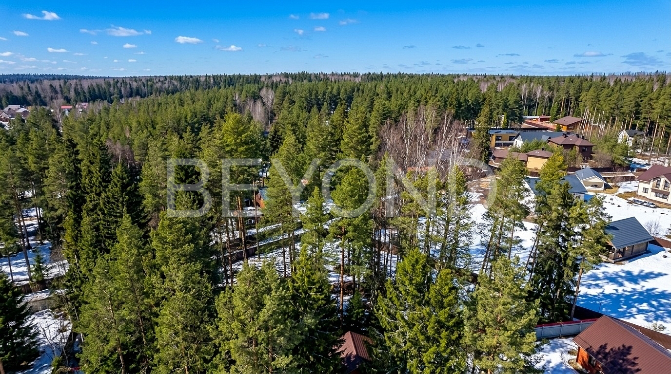 "западная лица" - сосновый участок для создания дома мечты фото 3