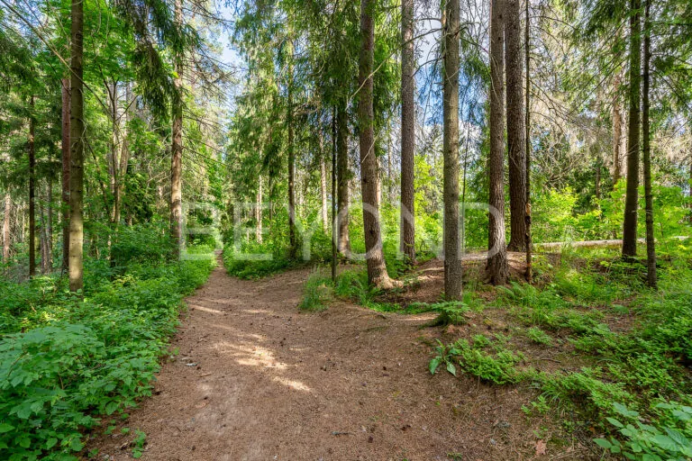 п. рощино - видовой берег реки фото 3