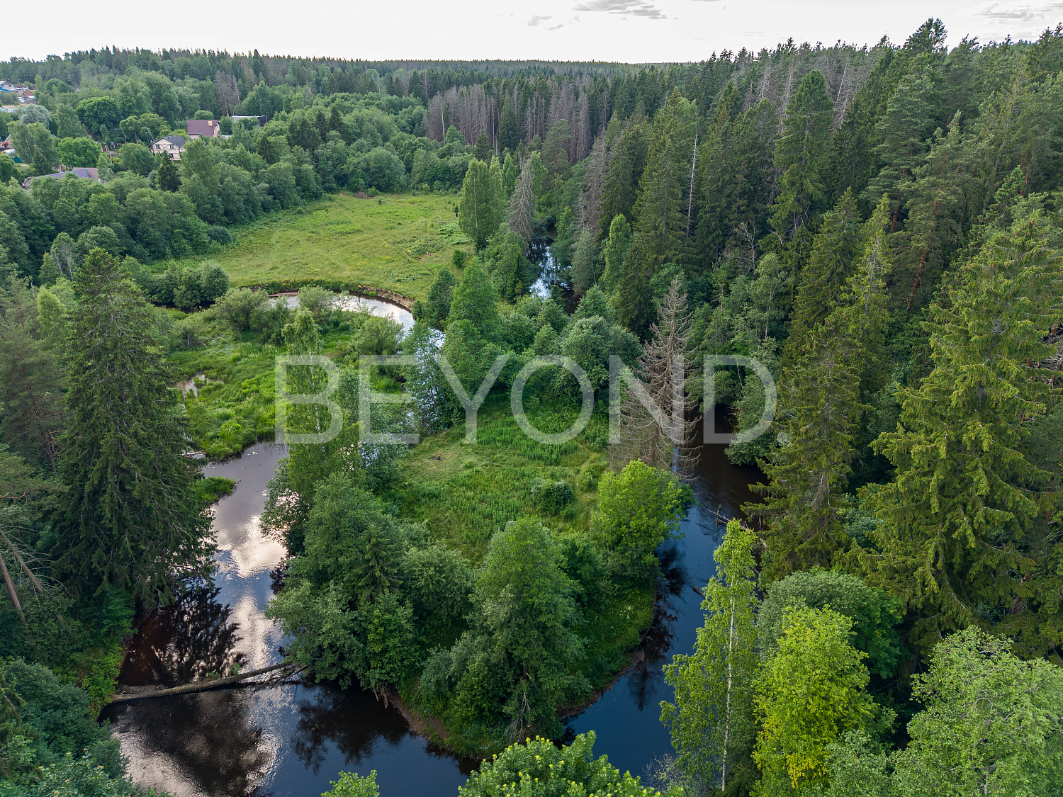 п. рощино - видовой берег реки фото 1