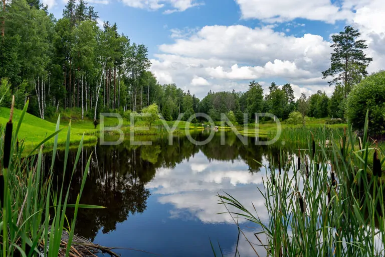 п. ленинское - эргономичный дом в "репинских усадьбах". фото 5